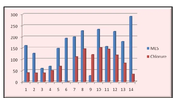 Figure IV.10 : Variation temporelle des MES et des chlorures mesurés  durant la  période d’étude