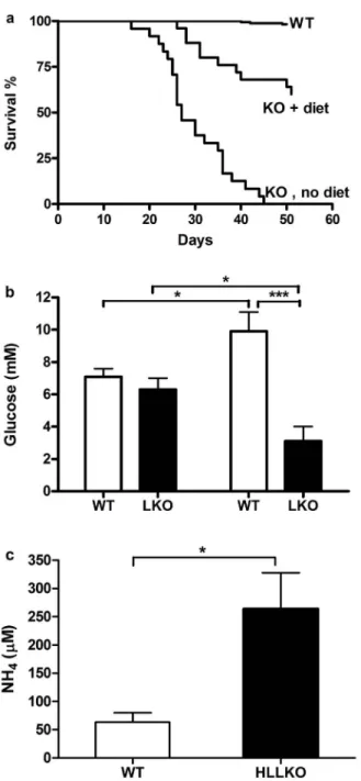 Figure 3. Fatal hypoglycemic, hyperammonemic coma in HLLKO mice. (a) Survival curves of the HLLKO mice with and without the modified diet are compared to a control group
