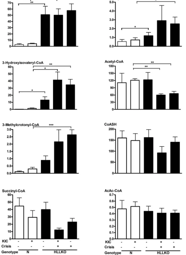 Figure 4. Liver short-chain acyl-CoA patterns in normal and HLLKO liver. Stable and KIC-injected mice (n = 5) were paired with age- and sex- sex-matched controls