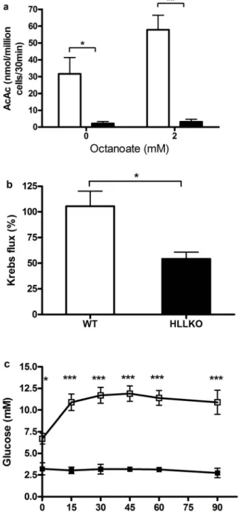 Figure 5. Patterns of leucine-related liver acyl-CoAs and urine and plasma metabolites