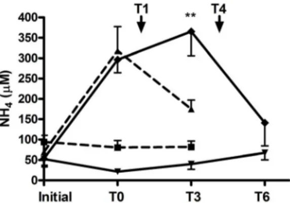 Figure 7. Carglumate treatment corrects hyperammonemia in HLLKO mice. T0 indicates the time at which hyperammonemia ,200 mmol/L was first demonstrated (see text)