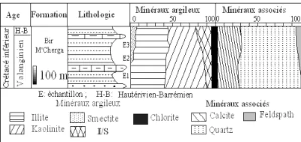 Fig. 5 – Composition minéralogique de la  série Valanginienne de J. Kohol 