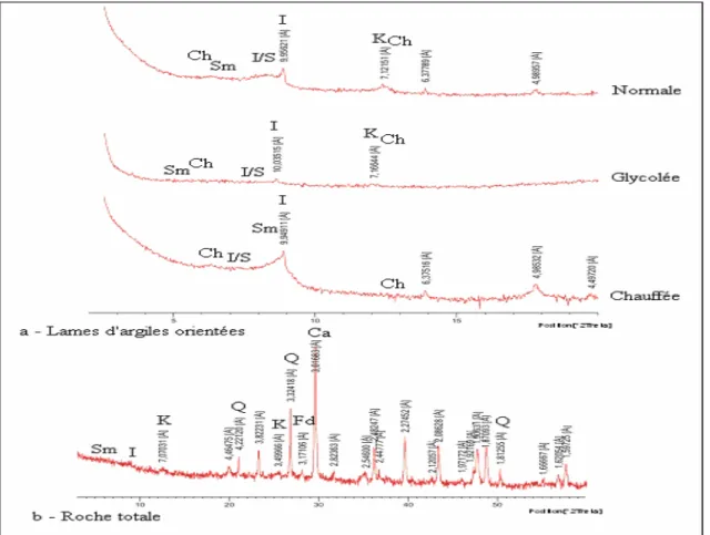 Fig. 9 – Composition minéralogique de la série de l’Albien supérieur de J. Naheli 