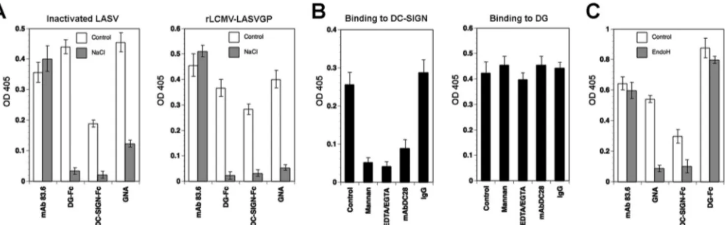 FIG 3 Characterization of the interaction of LASVGP with DC-SIGN. (A) DC-SIGN binds to LASV GP1