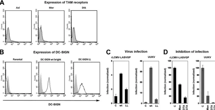 FIG 6 Different efficiencies of DC-SIGN in cell entry of rLCMV-LASVGP and UUKV. (A) Detection of TAM receptors in parental Raji cells by flow cytometry