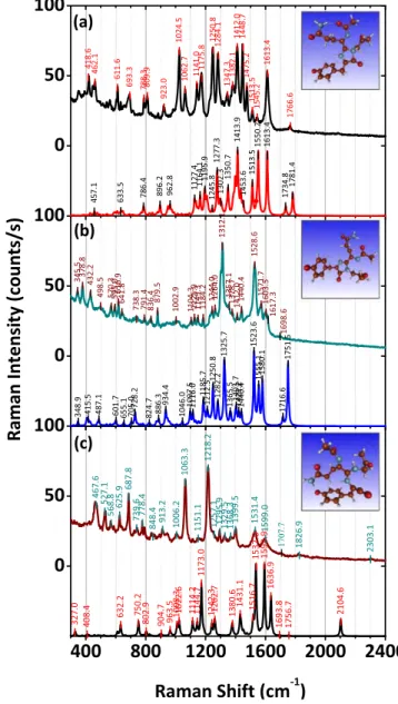 Figure 6. Experimentally recorded SERS spectra (upper spectra) of DsRed dehydrated protein layer deposited from solution with DsRed concentration of 0.05 g l −1 (400 nM) and DFT-simulated Raman spectra (lower spectra) of the DsRed chromophore in three diff