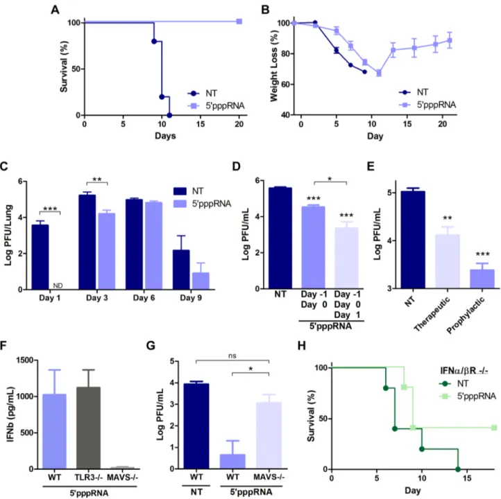 Figure 8. 59pppRNA activates innate immunity and protects mice from lethal influenza infection in vivo 