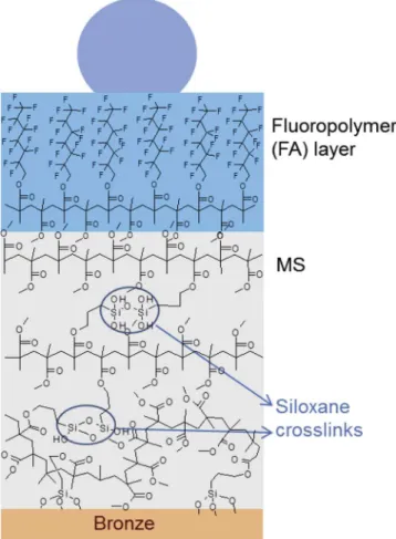 Fig. 2 c; they were analysed by Energy dispersive spectrometry (EDS), and the results are reported in Table 1 
