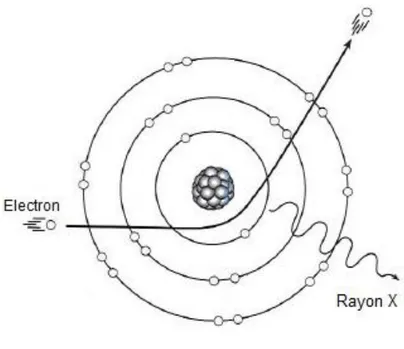 Figure 5: Schéma du tube radiogène (Barthez, 1997) 