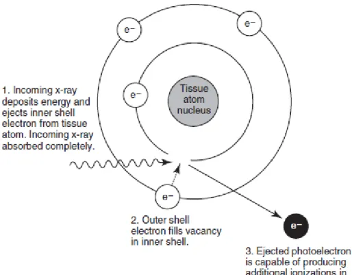 Figure 7: Effet photoélectrique d’un rayon X (Thrall, Widmer, 2013) 