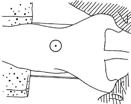 Figure  9 :  Schéma  représentant  le  positionnement  radiographique  de  l’animal  pour  une incidence ventro-dorsale de l’abdomen (Coulson, Lewis, 2002) 