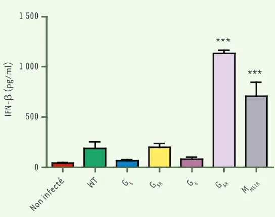 Figure 2.  Induction de l’interféron- b par différents mutants du VSV.  Compa- Compa-raison de l’induction d’interféron- 24 h après l’infection à faible multiplicité  d’infection (MOI, 0,1) avec les souches sauvage (WT) et mutantes du VSV pour la  protéin