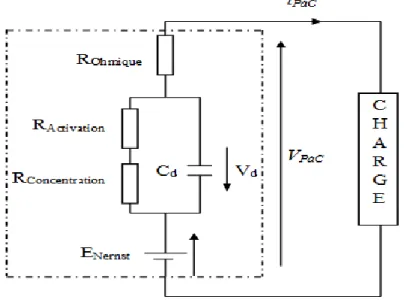 Figure 2.13 Circuit équivalent de la pile à combustible.  2.3.1.1 Potentiel thermodynamique-cellule de tension réversible 