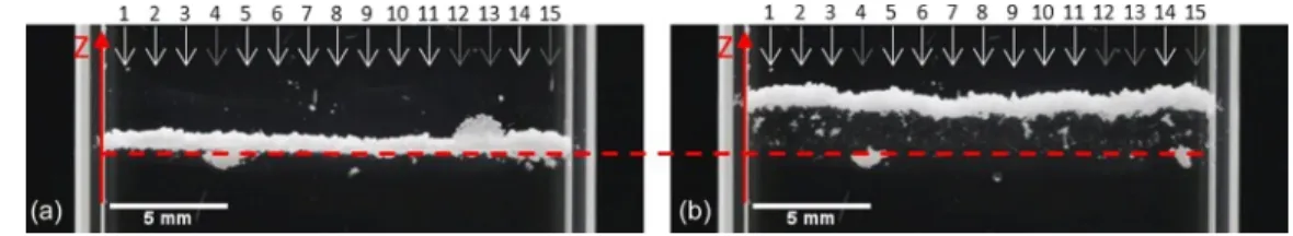 FIG. 3. Comparison between the initial position of the crust in the cell (a) and its final position (b)