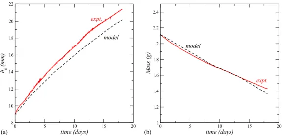 FIG. 7. Comparison between model and experiment: (a) distance h b (t ) between crust bottom surface and liquid level in the cell as a function
