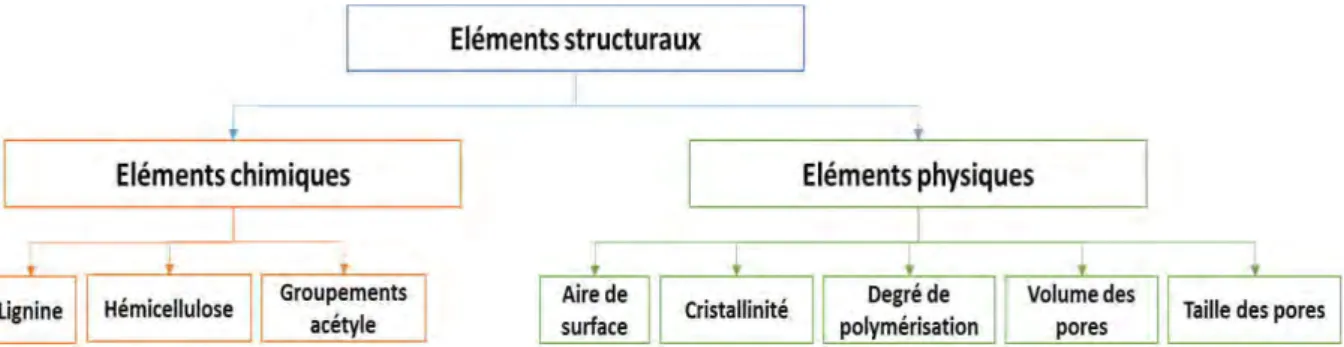 Figure 1.30 Eléments structuraux contribuant à la récalcitrante de la biomasse lignocellulosique (Zhu 