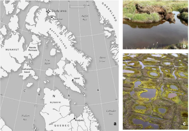 Figure 1. Study site description. (a) Map indicating the location of the study site on Bylot Island, Sirmilik National Park, Nunavut, Canada, (b) collapsed peat polygon ridges forming runnel ponds, and (c) landscape combining runnel and polygonal ponds.