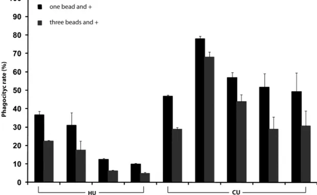 Table 2.  Fish Behaviour Activities in  Minutes (mean  time ± SD)  in Control (CU) and Heat Treatment (HU) Unit at  the Different  Observations Time of the day and at Different Temperature