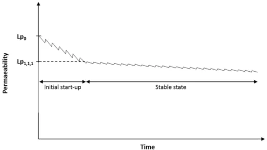 Figure II.8 Permeability decline during the membrane unit’s initial start-up 