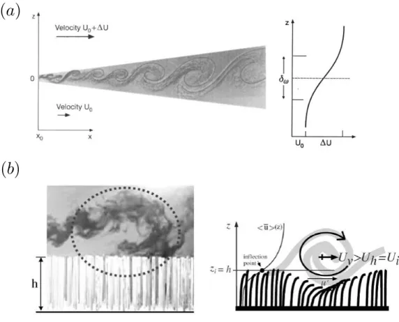 Figure 1.5 – (a) Visualisation de l’instabilité d’une couche de mé- mé-lange plane avec le profil de vitesse associé (Raupach, Finnigan et Brunet, 1996 )