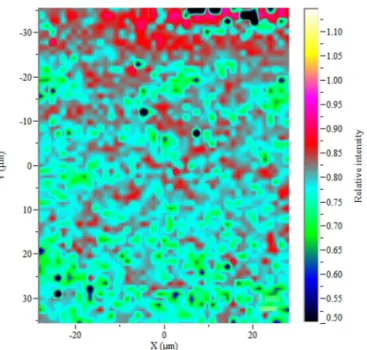 Fig. 8. Raman cartography of the R2 ratio of the K-SPS coating's cross section.