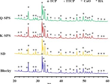 Fig. 4. XRD of coatings surfaces obtained by APS and SPS with assignments of the peaks to the phases.