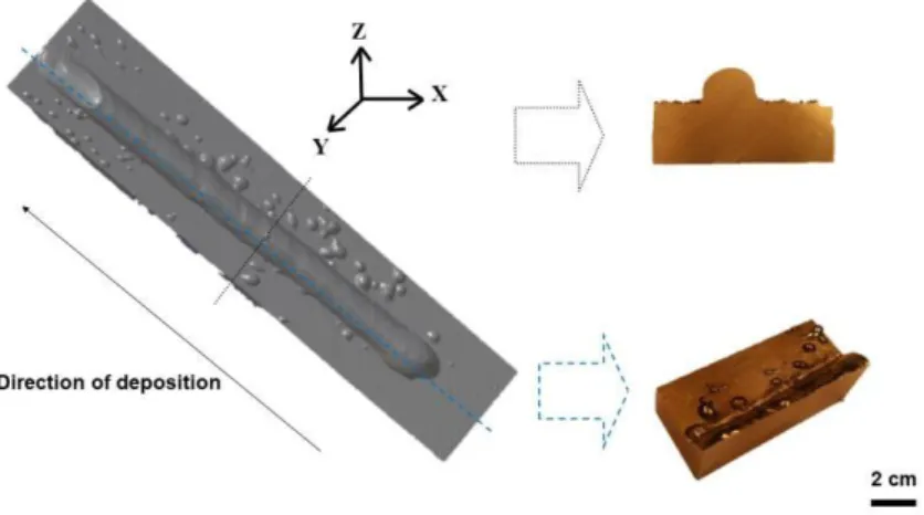 Fig. 1 Transverse (YZ) and longitudinal (XZ) sampling sections 