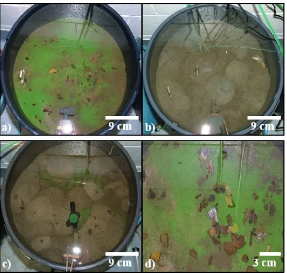 Figure 3. Examples of surface sediment observations illustrating (a) smooth uniform surface 