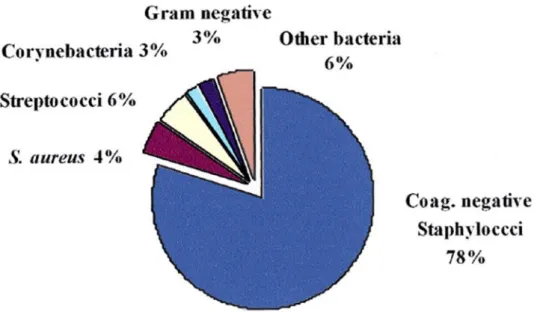 Figure 3 : Prévalence des bactéries impliquées lors de mammites subcliniques (Bergonier et al