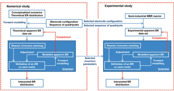 Fig. 2. General methodology of the numerical study and the experimental one.