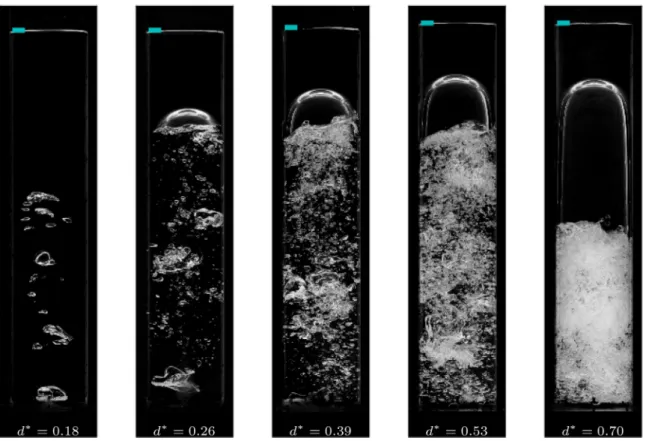 Fig.  5. Visualization of the gas content in the bottle during the initial transient ( t = 1 