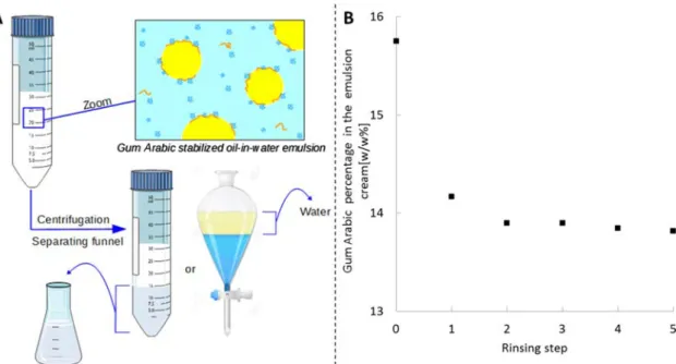 Figure 2. (A) Scheme of the rinsing procedure. (B) Evolution of gum arabic mass percentage in the emulsion cream (compared to the amount of gum in the emulsion, 100% is the amount used in the emulsion formulation) when rinsing an emulsion cream as a functi