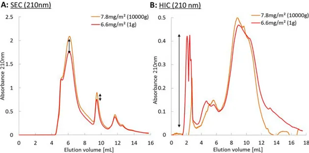 Figure 6. (A) Size-exclusion chromatograms and (B) hydrophobic interaction chromatograms of the adsorbed species after a (10 000g) or without (1g) centrifugal acceleration, with UV detection at 210 nm