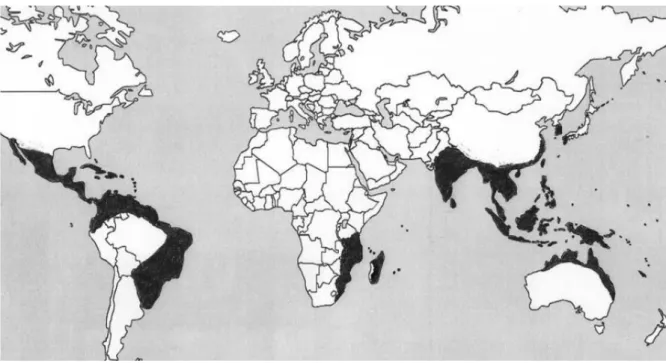 Figure 1 : aire de répartition de Rhipicephalus microplus (Barré, Uilenberg, 2010) 