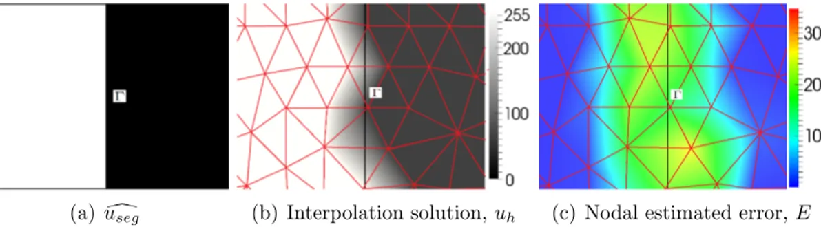 Figure 3.1: Illustration of the segmented image interpolation on an initial uniform mesh.