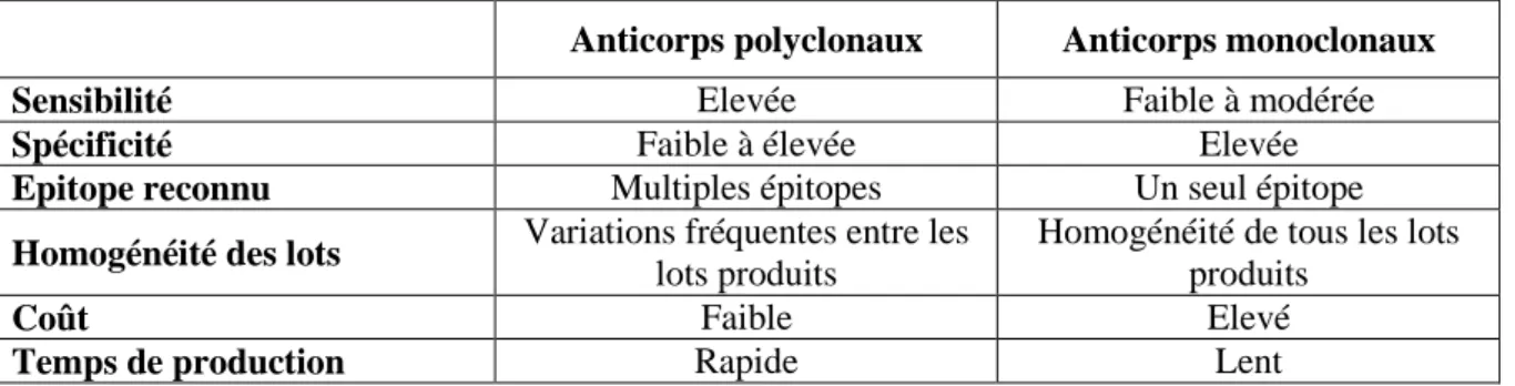 Tableau 1 : Caractéristiques des anticorps polyclonaux et monoclonaux 