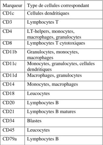 Tableau 4 : Liste des clusters de différenciation les plus souvent utilisés pour l’immunophénotypage dans l’étude  des pathologies de l’hématopoïèse du chien et du chat (Tvedten, 2012)