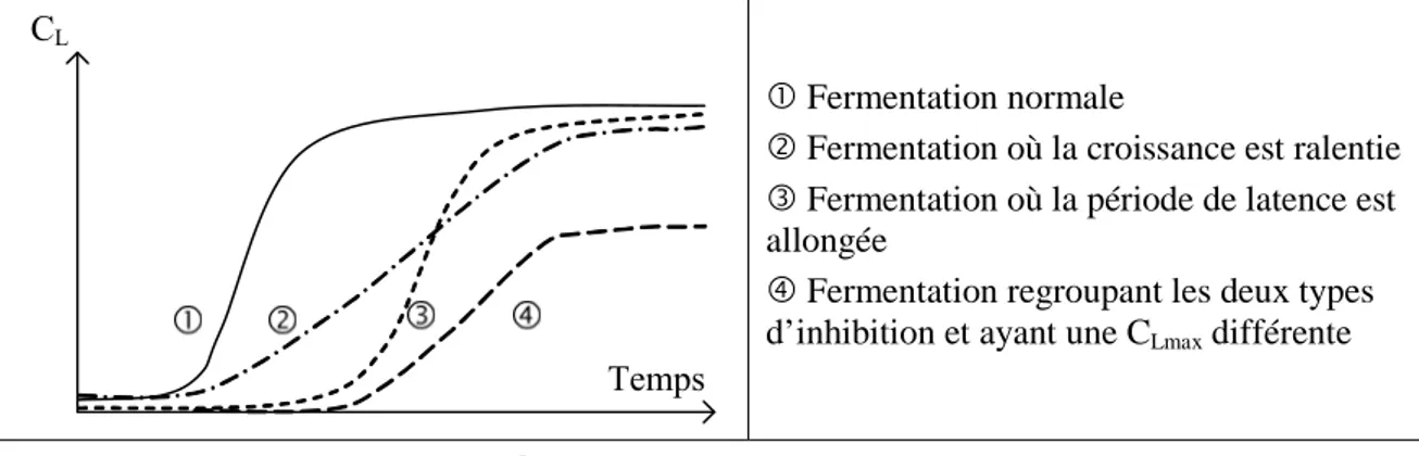 Figure II-8 : Action de différents types d’inhibition sur la courbe de croissance 