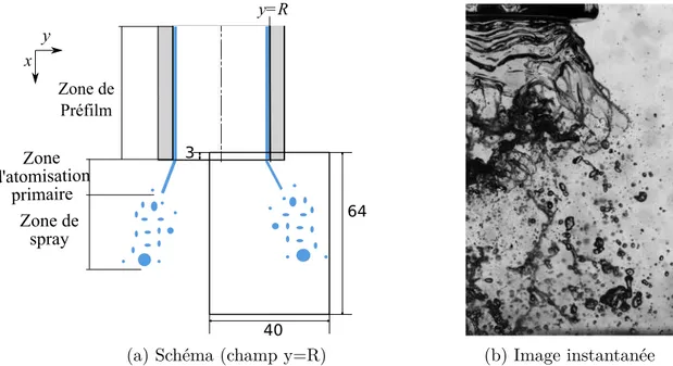 Figure 2.21 – Positionnement du champ de visualisation de l’atomisation primaire et du spray centré sur y = R (en mm).