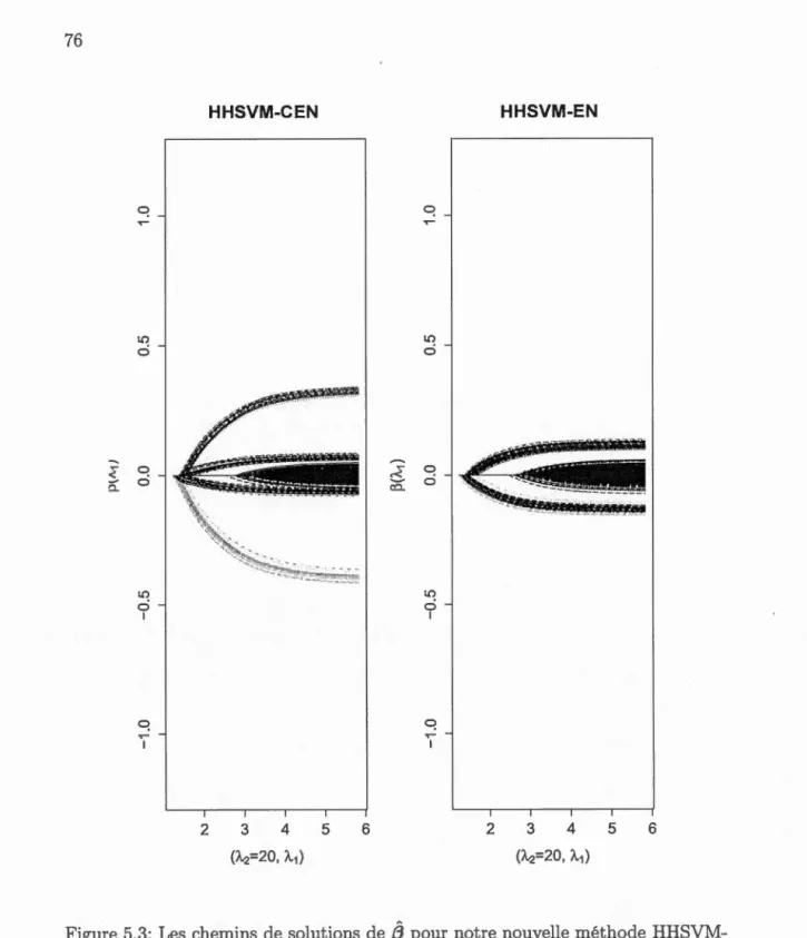Figure 5 . 3:  L es  chemins de so lu t ion s  de  {3  pour notre  nouvelle méthode  HHSVM -