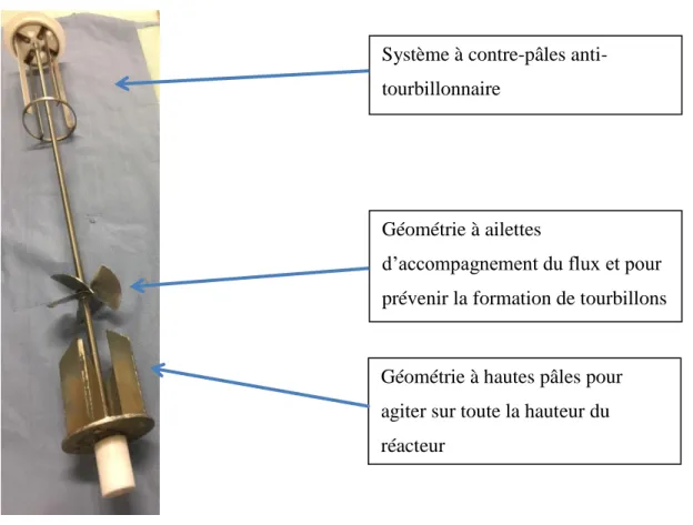 Figure 2-1. Module utilisé pour l’agitation des graines dans la canalisation à ultrasons 