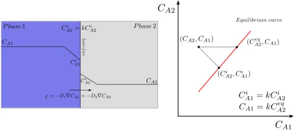 Figure 1.5: Schematic representation of mass transfer of A from phase 1 to phase 2 (left) and related thermodynamic equilibrium curve (right).