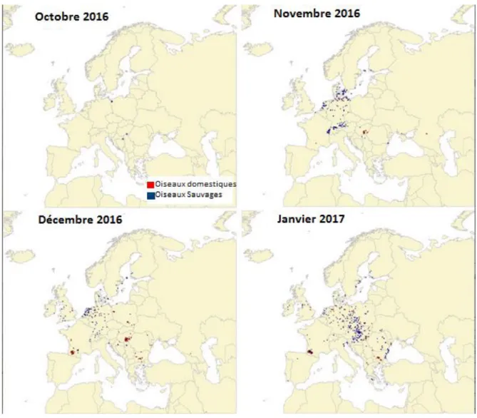 Figure 3 : Localisation des foyers de H5N8 chez les oiseaux domestiques et sauvages en Europe d'octobre 2016  à janvier 2017 (Napp et al., 2018)  