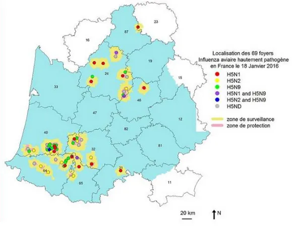 Figure 6  : Localisation des foyers d’IA HP identifiés au 30 juin 2016 (N=77 foyers, France, 29/04/2016) (DRAAF  Occitanie, 2016) 