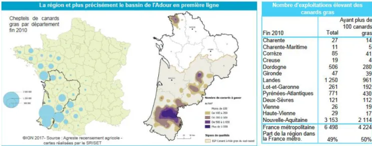 Figure  16:  Répartition  des  élevages  de  canards  en  France  et  en  particulier  dans  la  région  Nouvelle-Aquitaine  (Agreste, 2017) 