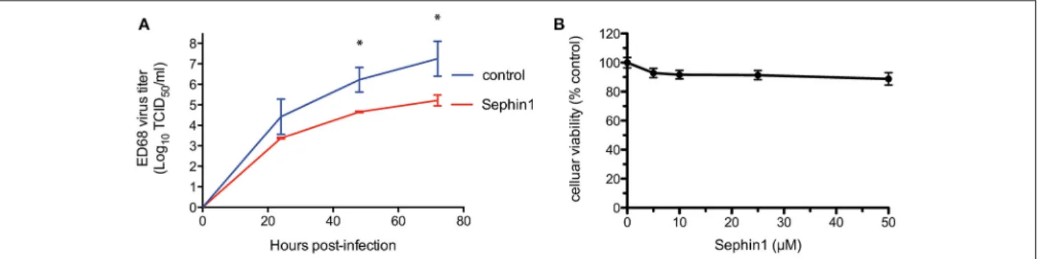 FIGURE 4 | Evaluation of the antiviral properties of Sephin1 against enterovirus ED68