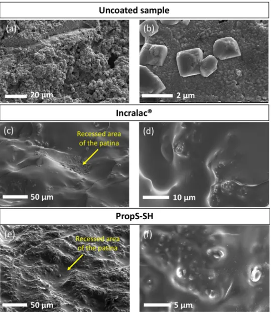 Fig. 8 c) while for PropS SH (i.e. for the surface treatment with higher penetration capability), this occurs on raised areas (i.e