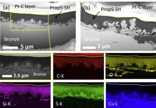 Fig. 11. FIB cross-section of the bronze coated by PropS-SH (applied by spraying) after ageing by dropping, in correspondence of (a) thick part located in the recessed parts and (b) thin part (raised area of the bronze surface) of the bronze surface