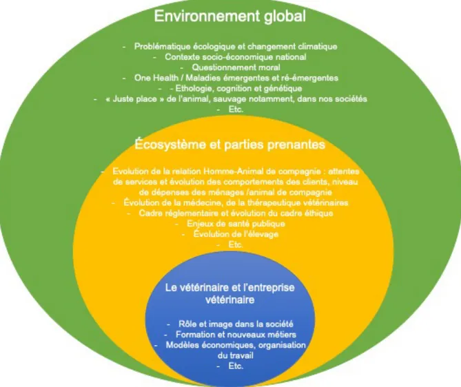 Figure 7 : Représentation de l’environnement en mutation de la profession vétérinaire, d’après une figure présentée  dans le Livre Bleu (Projet VETFuturs FRANCE, 2018) 