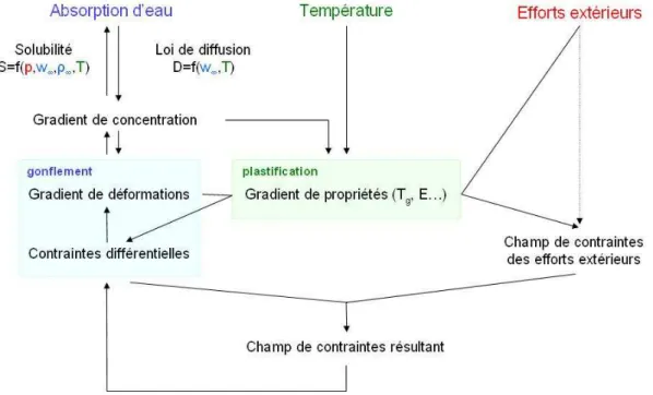 Fig. 4 – Sch´ema du couplage thermohygrom´ecanique.